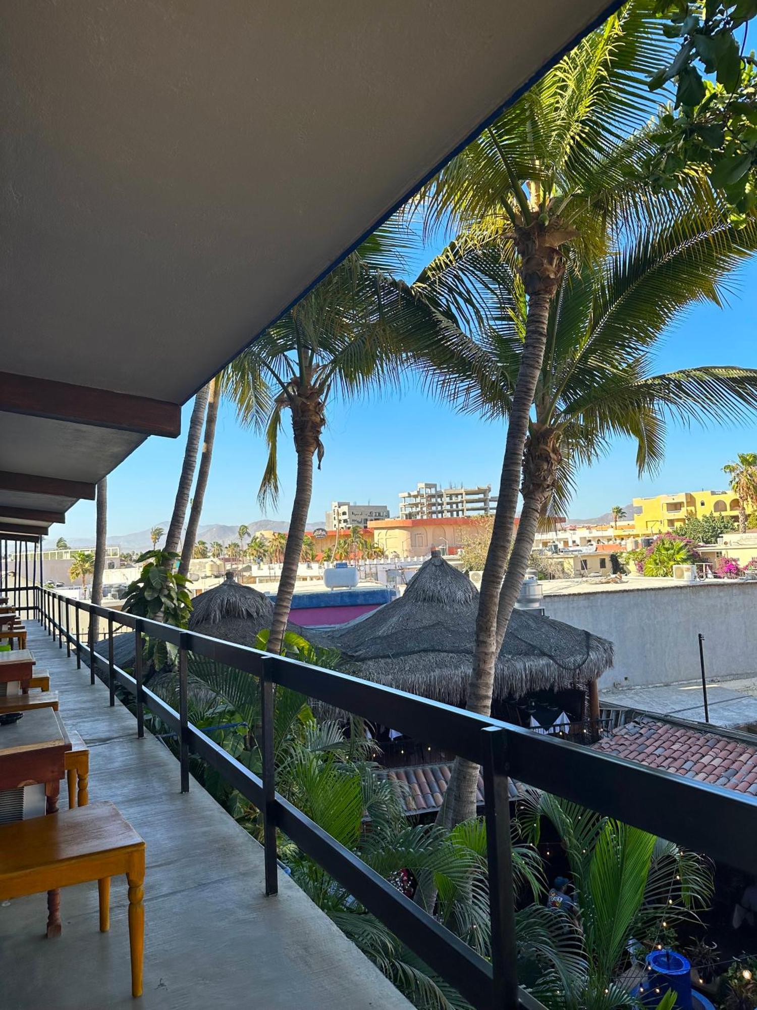 Siesta Suites Boutique Hotel Cabo San Lucas Extérieur photo
