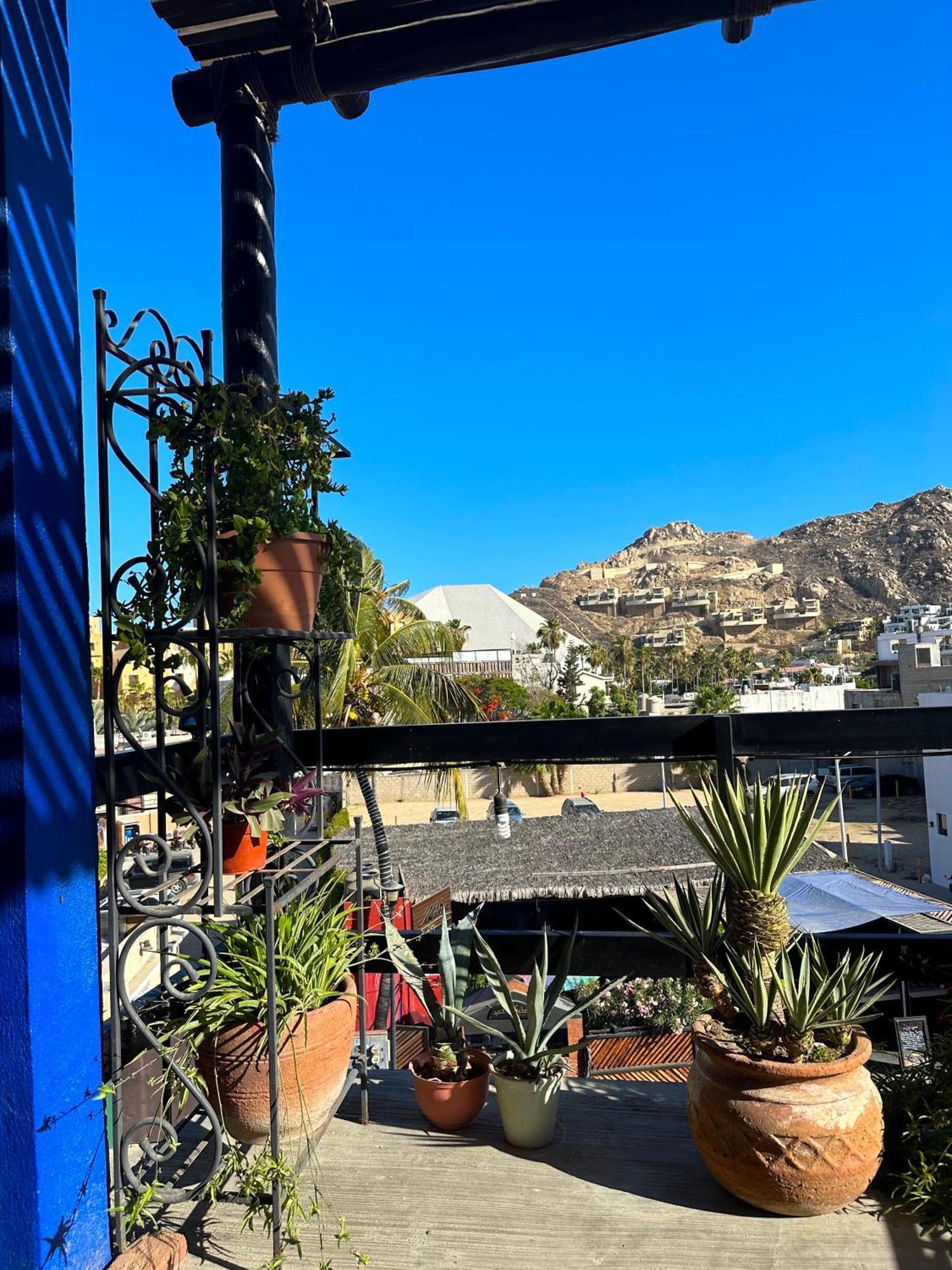 Siesta Suites Boutique Hotel Cabo San Lucas Extérieur photo