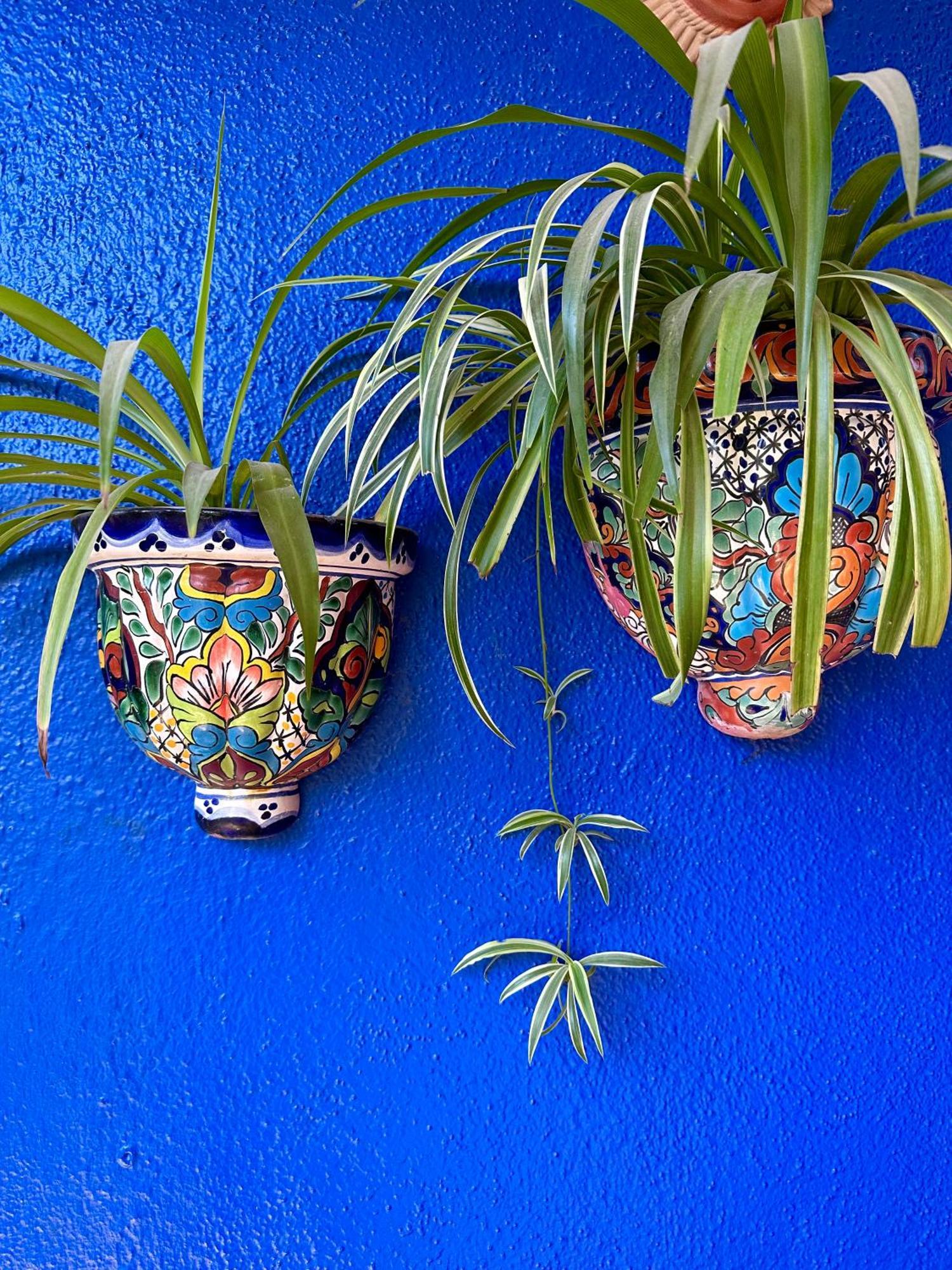 Siesta Suites Boutique Hotel Cabo San Lucas Extérieur photo