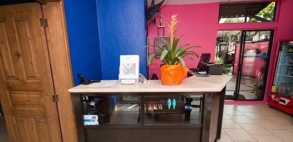 Siesta Suites Boutique Hotel Cabo San Lucas Extérieur photo